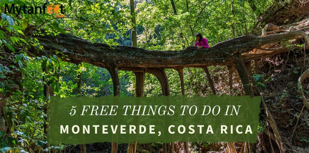 What to Do in Monteverde Costa Rica
